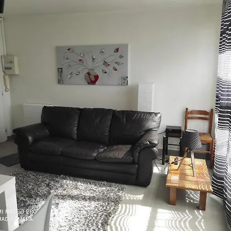 Apartment Logis Du Guelmeur: Appart Cosy 1 A St Marc - 37m2 *